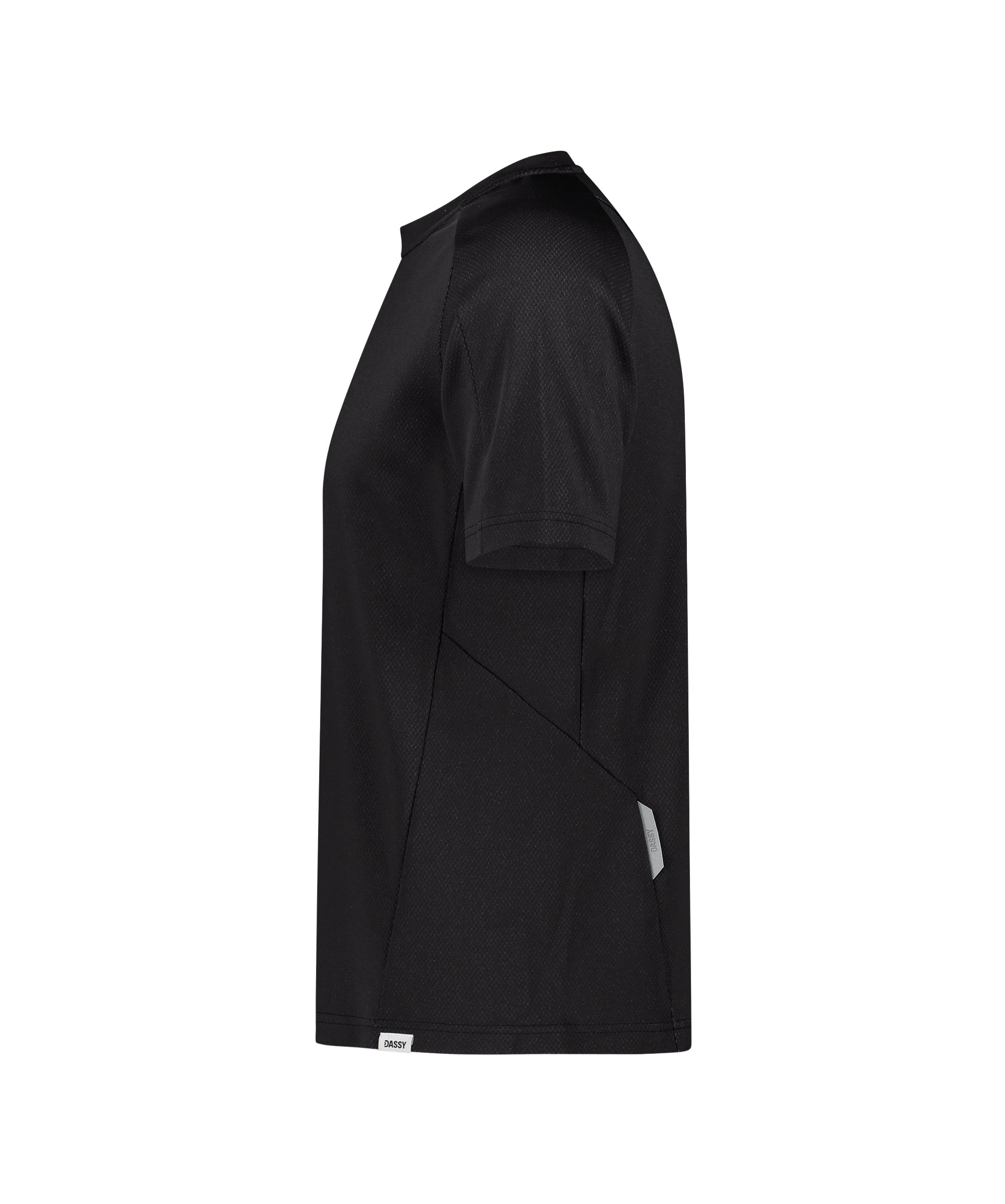 DASSY® Fuji DASSY