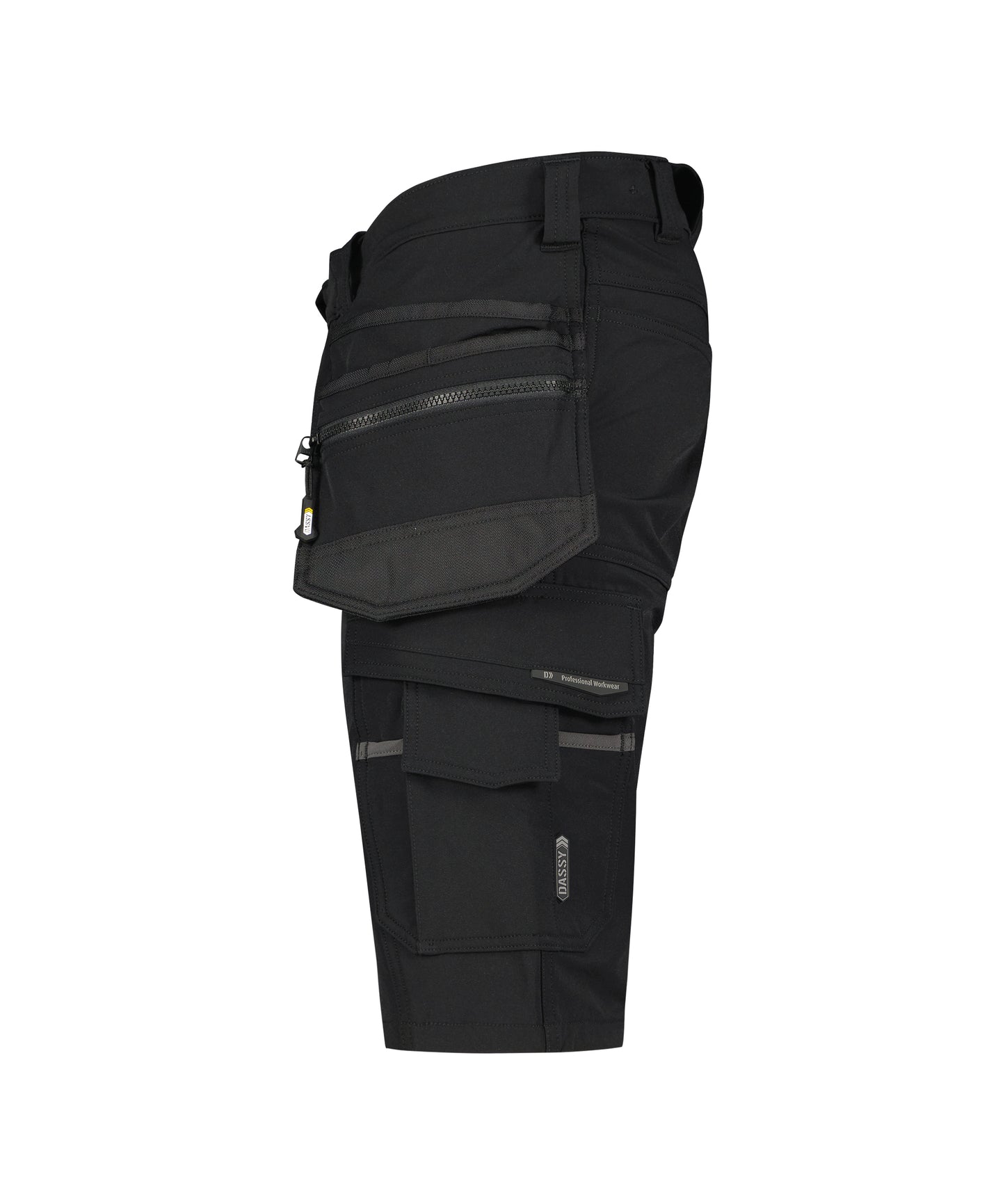 DASSY® Aurax DASSY
